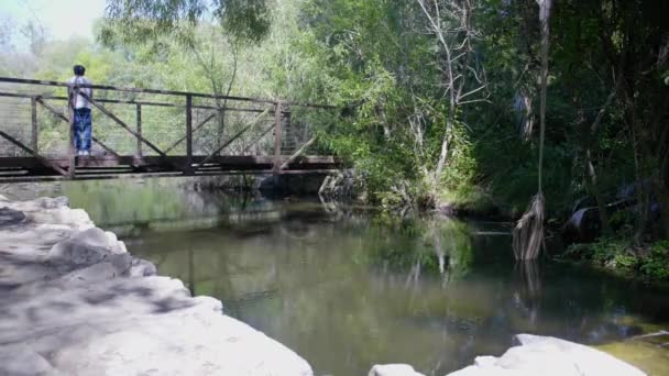 Hombre Puente Sobre Arroyo — Vídeos de Stock