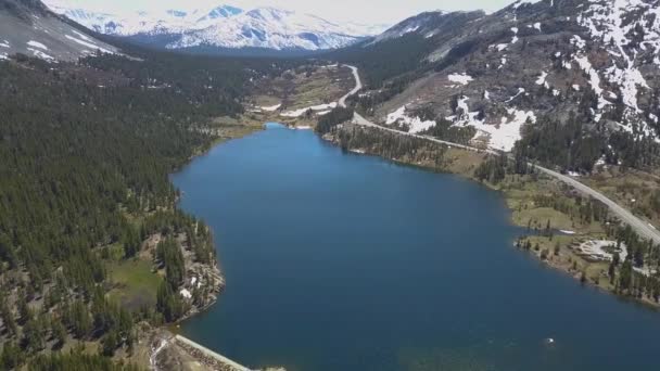 Luchtfoto Boven Ellery Lake Buurt Van Yosemite National Park — Stockvideo