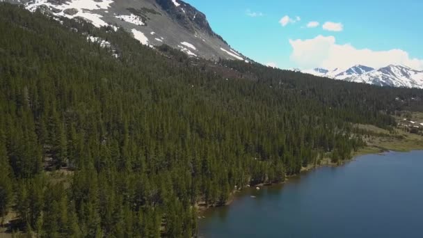 Flygfoto Över Evergreen Tree Vid Ellery Lake Nära Yosemite — Stockvideo