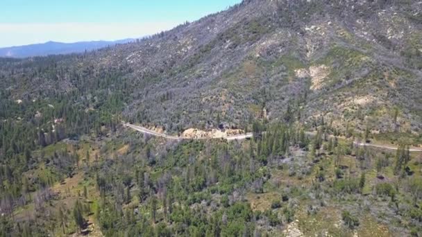 Vista Aérea Del Bosque Cerca Del Parque Nacional Yosemite — Vídeos de Stock