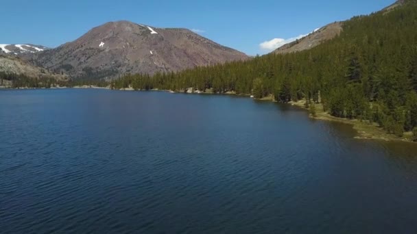 Hermosa Vista Aérea Del Lago Ellery Cerca Yosemite — Vídeos de Stock