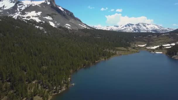 Yosemite Yakınlarındaki Ellery Gölü Ndeki Evergreen Ağacı Nın Hava Görüntüsü — Stok video