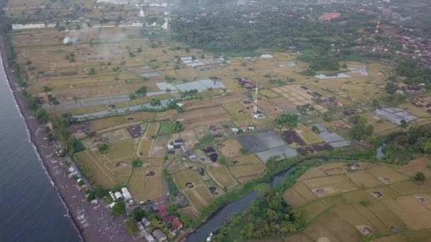 Letecký Záznam Rýžových Polí Pláže Bali Sklizni — Stock video