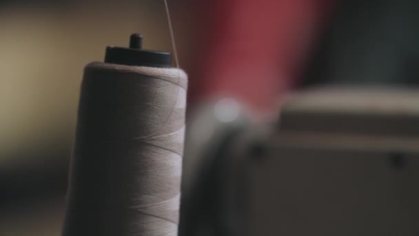Static Shot Spool Thread Sewing Machine — Stock Video