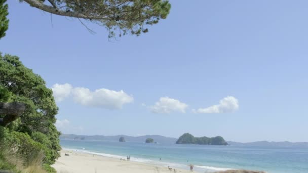 Dívka Laně Houpačka Hahei Beach Nový Zéland — Stock video