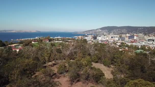 Pancia Aerea Sugli Alberi Rivelare Porto Balneare Città Hobart Tasmania — Video Stock