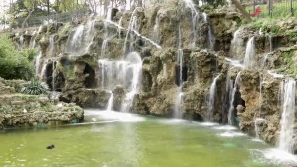 Industrial Waterfalls Public Park Different Bird Swim — Stock Video