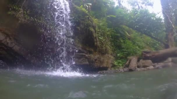 Dolly Tiro Uma Cachoeira Yunque National Forest Porto Rico — Vídeo de Stock