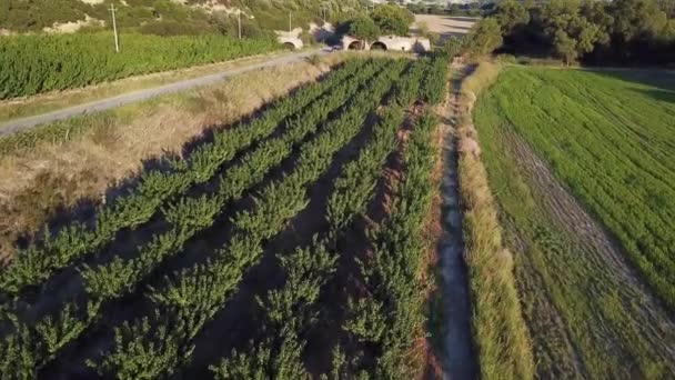 Drone Tiro Campo Basilicata — Vídeo de Stock