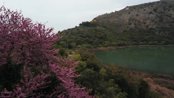 Arnavutluk Butrint Sinema Yerleri Unesco Dünya Mirasları Merkezi — Stok video