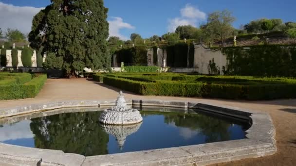 Moviendo Arround Pequeño Estanque Frente Una Secuoya Jardín Barroco — Vídeos de Stock