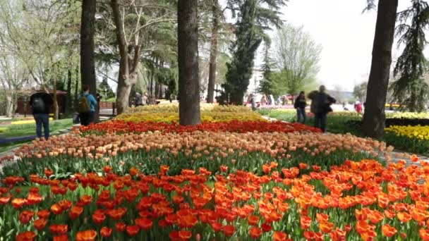 Általános Kilátás Nyilvános Kert Egy Tavaszi Napon Kamera Lehajlik Látogatók — Stock videók