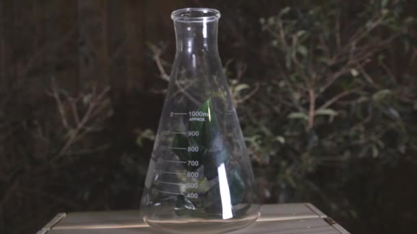 Открытый Химический Маяк Растениями Внутри — стоковое видео