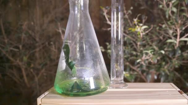 Versare Liquido Verde Una Provetta Con Foglie Ambiente Esterno — Video Stock