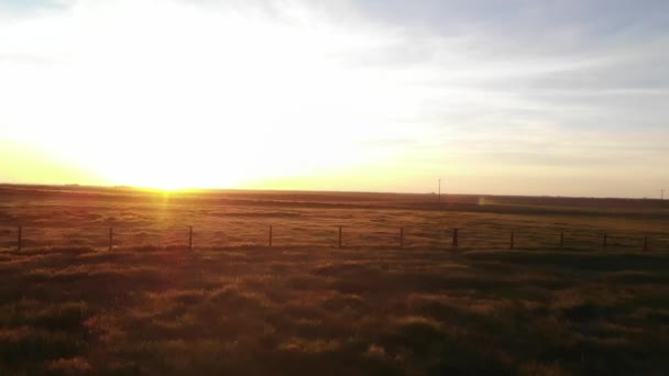 Kalifornien Farm Sonnenuntergang Drohne — Stockvideo