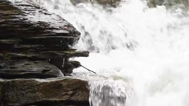 Detailvideo Von Wasserfall Und Wasser Das Von Felsen Der Küste — Stockvideo