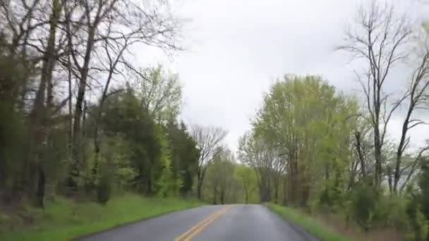 Journée Pluie Sur Belle Route Courbe Nature Avec Des Arbres — Video