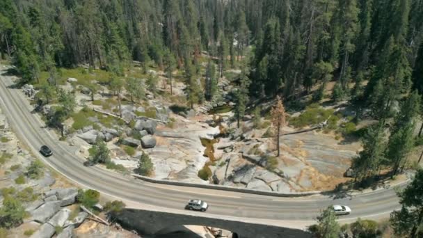 Vue Aérienne Parc National Sequoia Californie — Video