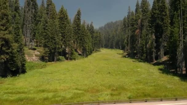 Widok Lotu Ptaka Park Narodowy Sequoia Kalifornii — Wideo stockowe