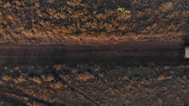 Landcruiser Está Conduciendo Través Del Interior Australia Disparado Con Dron — Vídeo de stock