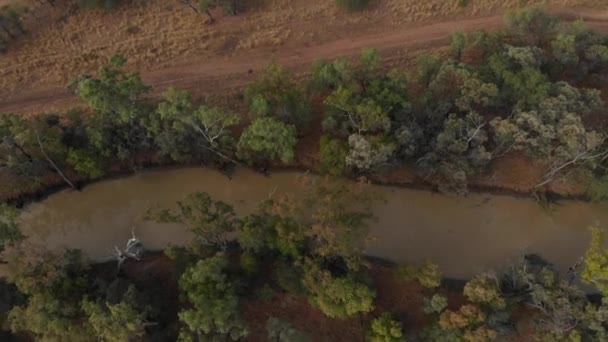 Malá Řeka Vnitrozemí Střílí Dronem — Stock video