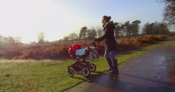 Kvinna Promenader Med Baby Barnvagn Landsbygden Ljus Vintrar Dag — Stockvideo