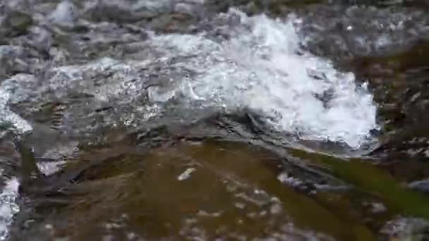 Rivière Qui Coule Sur Les Rochers Les Cailloux Ralenti — Video