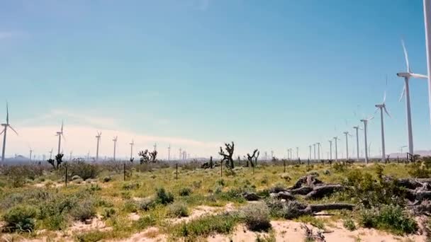 Molino Viento Valle Del Desierto — Vídeo de stock