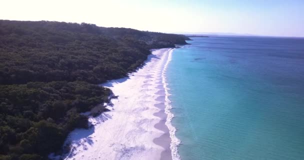 Нетронутые Спокойные Австралийские Пляжи Волны Вид Воздуха — стоковое видео