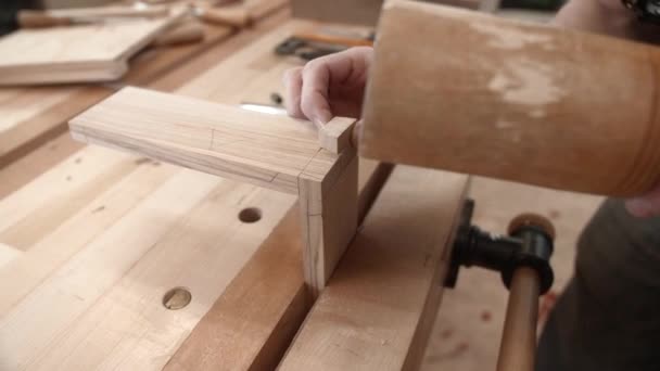 Woodworker Összeszereli Galamb Farok Közös Pad Vise — Stock videók