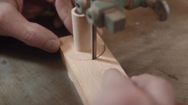 丸木片を切断するために見たバンドを使用して木工職人 — ストック動画