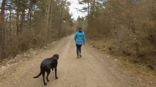 Girl Walking Mountain Trail Forest Black Dog Autumn View Back — Stock Video