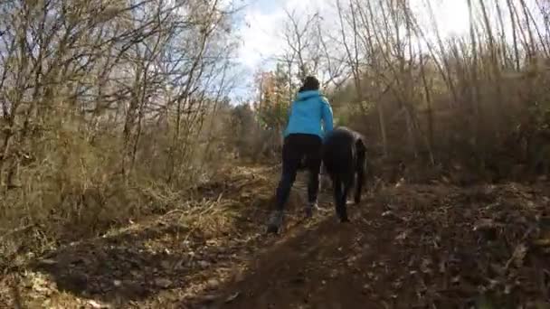 Chica Paseando Bosque Con Perro Día Soleado Vista Desde Atrás — Vídeos de Stock