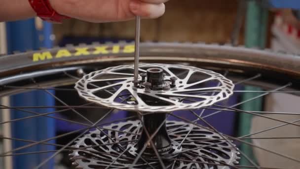 Oficina Mountain Bike Masculino Mecânico Profissional Manutenção Bicicleta Feche Mãos — Vídeo de Stock