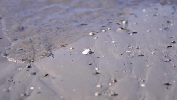 Прилив Над Австралийским Пляжем Замедленная Съемка — стоковое видео