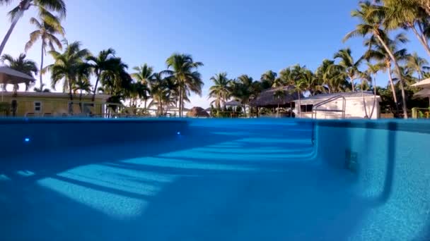 Tiro Una Piscina Una Piscina Del Complejo Islamorada Florida Keys — Vídeos de Stock