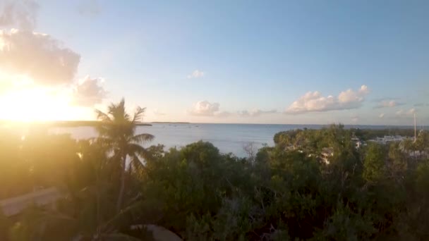 Съемки Воздуха Показывающие Море Рядом Рестораном Флорида Исламорада Флорида — стоковое видео
