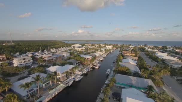 Key Largo Florida Keys Deki Bir Yolu Arazisinin Hava Görüntüleri — Stok video