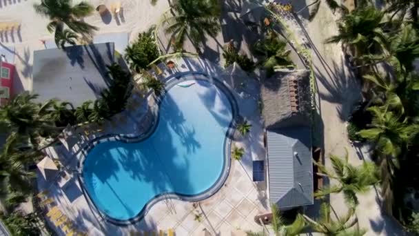 Imágenes Aéreas Aves Revelando Una Piscina Complejo Islamorada Hermoso Día — Vídeo de stock