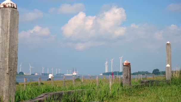 Typische Holländische Landschaft Mit Fluss Wolken Und Windmühlen Windmühlen Sind — Stockvideo