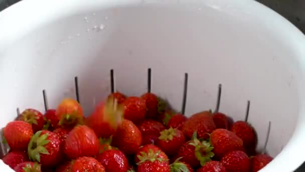 Fresas Orgánicas Recién Lavadas Caen Colador Blanco Desde Arriba Cámara — Vídeos de Stock