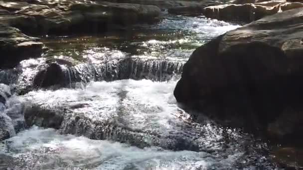 Dies Ist Ein Zeitlupenvideo Von Wasser Das Durch Stone Creek — Stockvideo