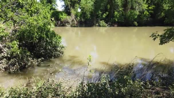 Este Vídeo Rio Elm Fork Trinity Inundado Após Uma Tempestade — Vídeo de Stock