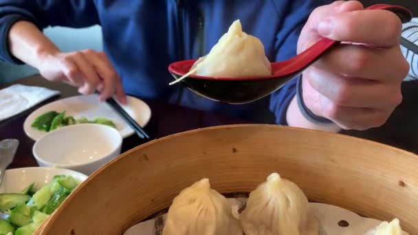 Videohandledning Hur Man Äter Soppdumplings Fläsk Xiaolongbao Kinesisk Restaurang Video — Stockvideo