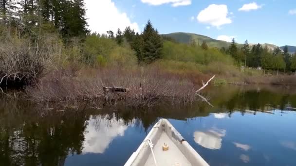 カナダのガチョウと反射する青い空を持つ湖でカヌー — ストック動画