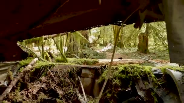 Revelación Coche Viejo Selva Tropical — Vídeo de stock