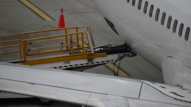 Rozładunek Bagażu Samolotu Taśmą Transportową — Wideo stockowe