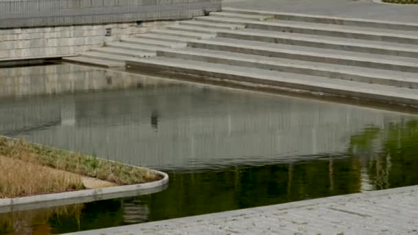 Person Reflekteras Urban Damm Promenader Till Höger — Stockvideo