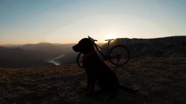 Mountain Bike Cão Labrador Preto Penhasco Montanha Lagoa Desfiladeiro Bonita — Vídeo de Stock