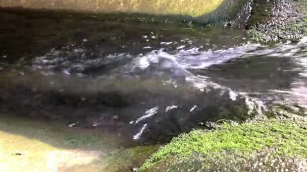 Burza Przepływa Faluje Nad Kamieniami Niosącymi Liście Inne Szczątki — Wideo stockowe